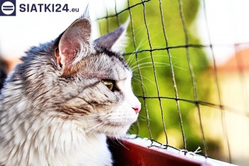 Siatki Chełmża - Siatka na balkony dla kota i zabezpieczenie dzieci dla terenów Chełmża