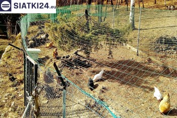 Siatki Chełmża - Siatka na woliery - zabezpieczenia ptaków w hodowli dla terenów Chełmża